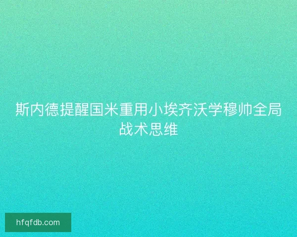 斯内德提醒国米重用小埃齐沃学穆帅全局战术思维